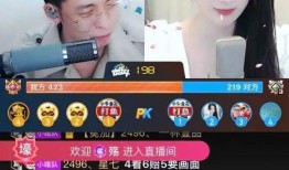 木子被爆料的视频,揭秘背后真相与争议